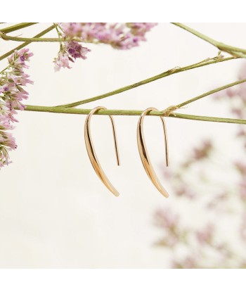 Boucles d'oreilles pendantes délicates en plaqué or Venez découvrir notre 